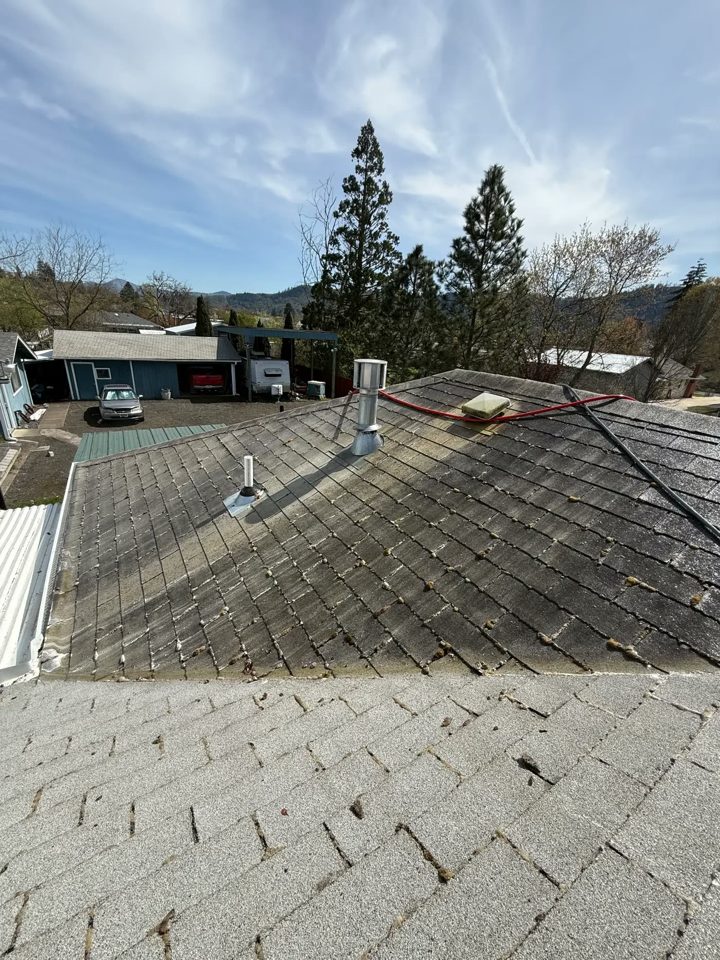 Composition shingle roof darkened with moss and algae before soft washing
