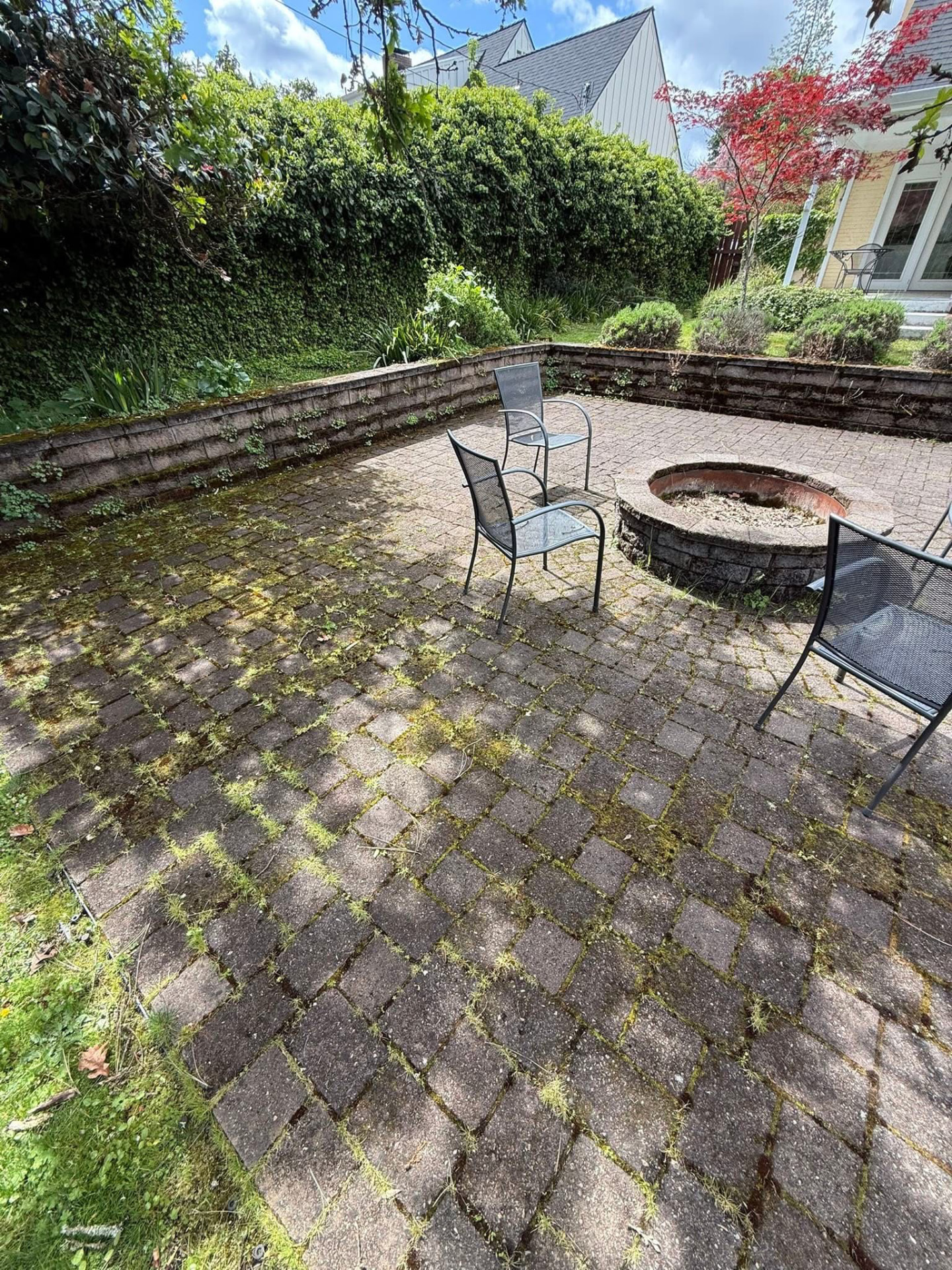 Paver patio covered in moss and weeds before exterior cleaning
