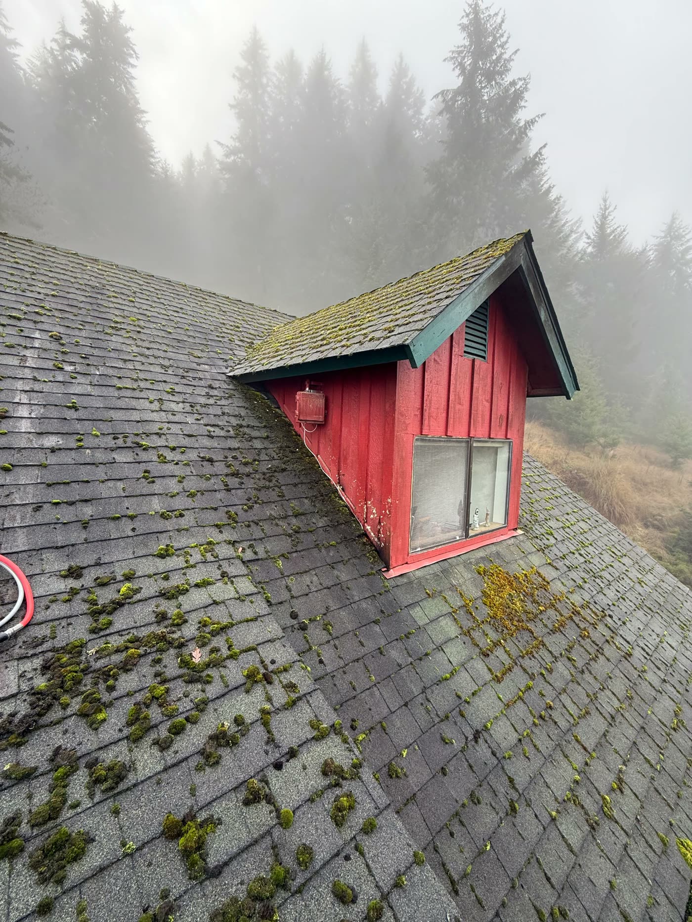 Roof around a red dormer thick with moss clumps before soft washing